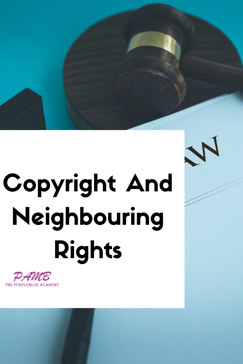 Copyright And Neighbouring Rights